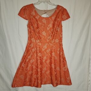 Enfocus Lace Mini Dress